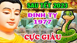 Tử Vi Đầu Năm 2023 Tuổi Đinh Tị 1977 Ăn Lộc Thần Tài, Nổ Lộc Kép Giàu Có Nhất
