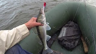 HUMP [fe:im] ловит и судака.Мимоходом,по пути на щуку.Zander Fishing.