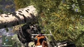 Far Cry 4-1 игра с другом