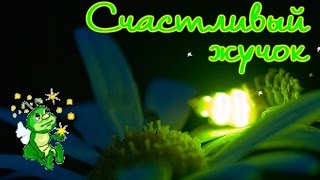 Cчастливый жучок. По сказке Г. Скребицкого.