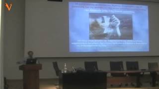 αναρχικος τραπεζιτης, 5/11/2013