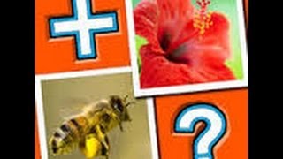 MixTwo Level's 11-19 Answers Walkthrough Guide