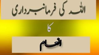 Allah ki Farmabardari Aur Us Ka Inaam