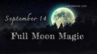 September 14th Full Moon Magic Reading