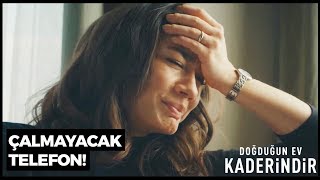 Telefonun Başında Çaresiz...  | Doğduğun Ev Kaderindir 4. Bölüm