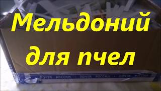 Взрывное размножение и  развитие пчел. Белковая подкормка пчел весной. Чем подкормить пчел