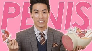 Men Explain The Penis