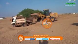 Mucjiso: Mucjiso Yaab Leh oo lagu Arkay Soomaaliland
