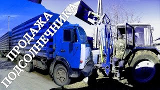 Продажа подсолнечника. Работа МТЗ-892, КУН, КАМАЗ