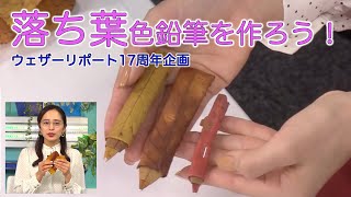 落ち葉色鉛筆を作ろう！ウェザーリポート17周年企画