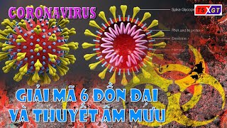 Giải mã 6 Tin Đồn và "Thuyết Âm Mưu" về Virus Corona tại Vũ Hán Trung Quốc!