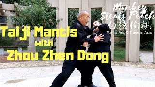 Exclusive Interview with Taiji Mantis Kung Fu Master Zhou Zhen Dong