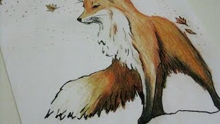 SPEEDART |Líška