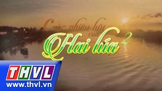 THVL | Cuộc phiêu lưu của Hai Lúa – Phần 2 tập 52