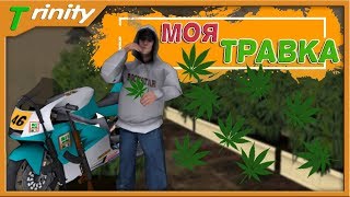 Трава всему голова моя травка на Тринити РП