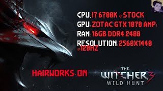 The Witcher 3: Wild Hunt | Framerate | ZOTAC GTX 1070 AMP Edition | 1440p | Ultra + Hairworks on |