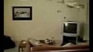 Видео бесплатно приколы наш прикол качать скачать