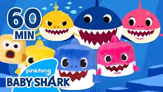 Baby Shark Doo Doo Doo 1 hour | +Compilation | Best Songs 
