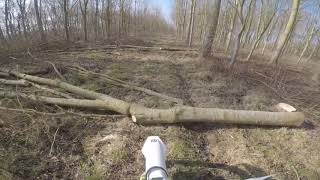 Logs 23-02-2019 TE300i