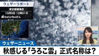 関東など秋の到来を感じる「うろこ雲」が出現　正式名称は？