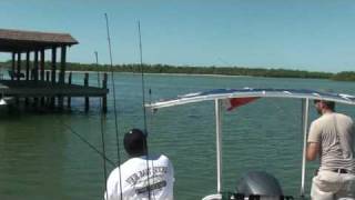 Capt.'s Log with Comedian Arnez J