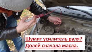 Одна из причин шумной работы ГУР
