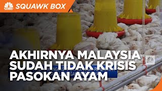 Pasokan Stabil, Malaysia Tak Lagi Krisis Ayam