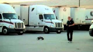T Maxx jumping on asphalt over semi-truck tires and breaking