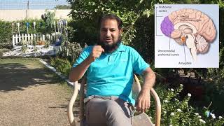 Brain Science: How to Reduce Exam Stress