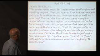 The Treatment of Depression with Chinese Medicine
