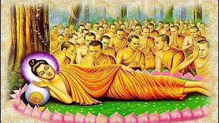 Lời Dạy cuối cùng của ĐỨC PHẬT trước khi nhập niết bàn dù bạn là ai cũng phải xem 1 lần Tử Vi 247