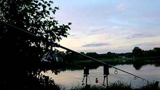 Delkim std Carp run @ 't meer