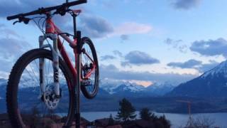 BERGAMONT revox 9.0