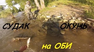 Рыбалка на судака и окуня на классику на Оби. Как вязать классику.