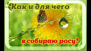 Как и для чего я собираю росу \ Лечение росой