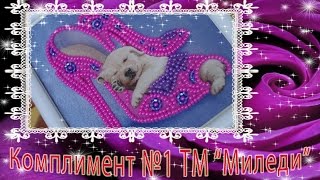 Комплимент №1 ТМ "Миледи". Собачка в туфельке. СП "Подари детям рукодельное счастье"