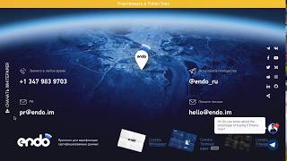 Endo — blockchain протокол для верификации данных