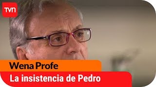 La insistencia de Pedro | Wena Profe - T1E132