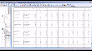 Описательные статистики в  SPSS ч 2 Descriptive Statistics in SPSS