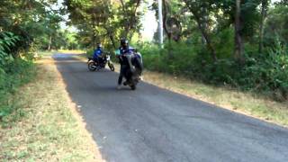 Baka Boys stunts wheelie on Dio