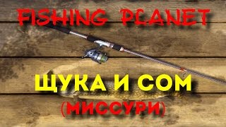 Fishing Planet | Щука и сом