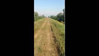 Cavalery, attack
