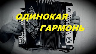 Одинокая гармонь | Урок игры на гармони для начинающих