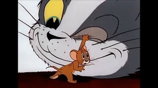 Tom ve Jerry 1. Bölüm Türkçe İzle