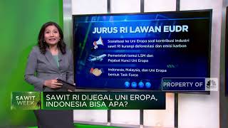 Sawit RI Dijegal Uni Eropa, Indonesia Bisa Apa?
