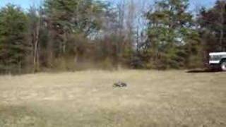 Traxxas T-MAXX 2.5R