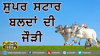 ਸੁਪਰ ਸਟਾਰ ਬਲਦਾ ਦੀ ਜੋੜੀ ⚫ ਸਰਦਾਰ ਦਿਲਾਵਰ ਸਿੰਘ ⚫ (FULL HD) VIDEO BY WWW.MALWATV.COM