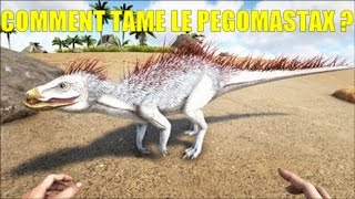 BrocH ARK #3 Comment tame un Pegomastax ? PS4 FR