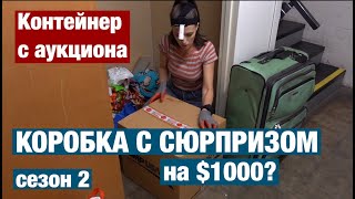 КОРОБКА С СЮРПРИЗОМ И ДРУГИЕ НАХОДКИ. АУКЦИОН КОНТЕЙНЕРОВ