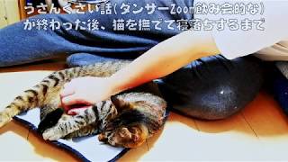 猫と寝落ちするまで ダンサーのうさんくさい話(Zoom飲み会)終了後の様子